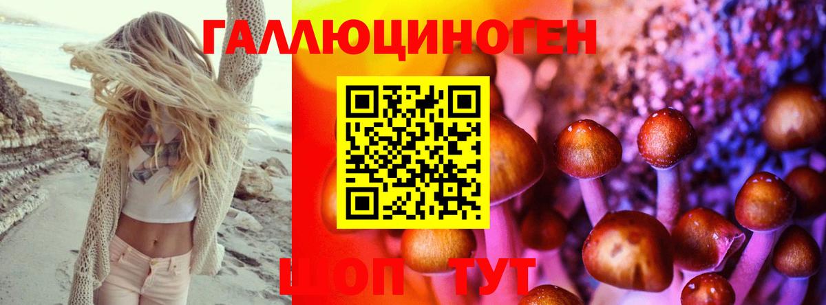 Псилоцибиновые грибы Magic Shrooms  Псилоцибиновые грибы мицелий  Урус-Мартан  Вход с VPN 