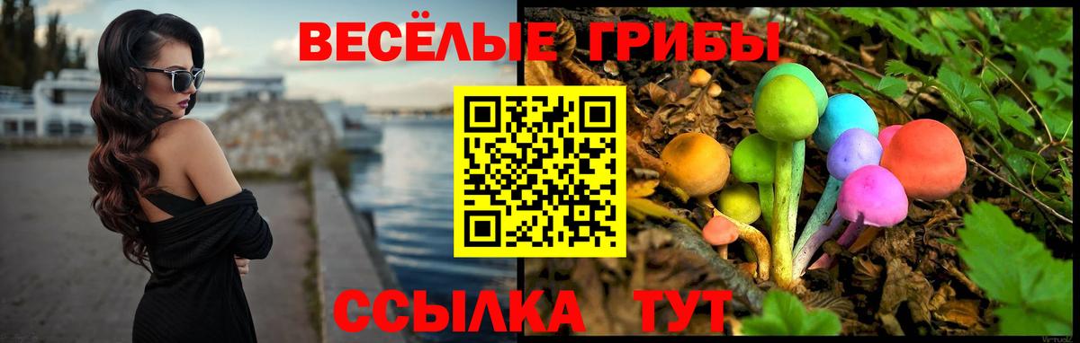 Псилоцибиновые грибы Psilocybine cubensis Урус-Мартан